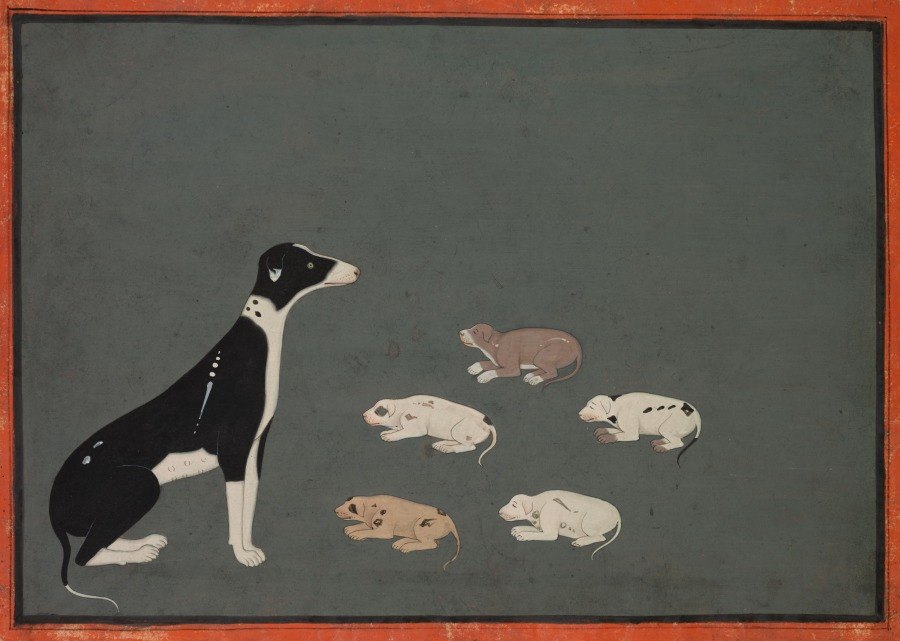 Dog with Pups by Unknown Rajasthani artist — artwork critiqued by Artluni